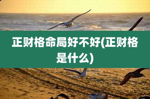 正财格命局好不好(正财格是什么)