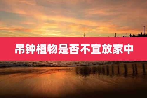 吊钟植物是否不宜放家中