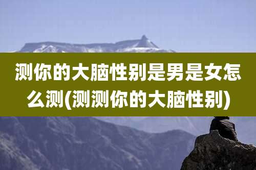 测你的大脑性别是男是女怎么测(测测你的大脑性别)