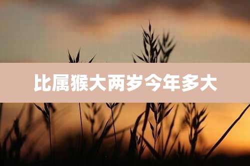 比属猴大两岁今年多大