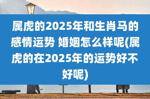 属虎的2025年和生肖马的感情运势 婚姻怎么样呢(属虎的在2025年的运势好不好呢)