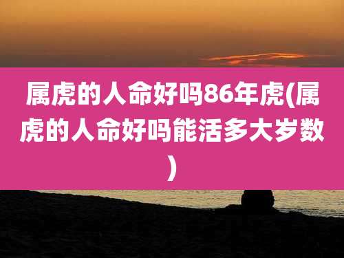 属虎的人命好吗86年虎(属虎的人命好吗能活多大岁数)