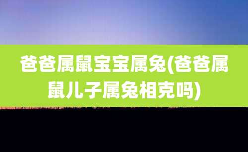 爸爸属鼠宝宝属兔(爸爸属鼠儿子属兔相克吗)