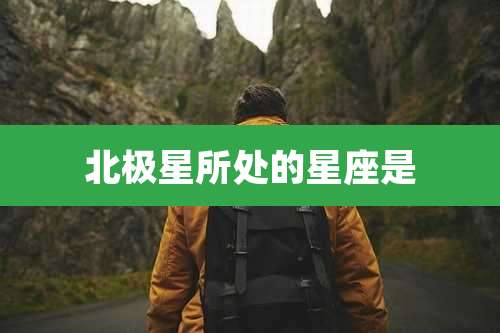 北极星所处的星座是