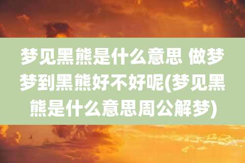 梦见黑熊是什么意思 做梦梦到黑熊好不好呢(梦见黑熊是什么意思周公解梦)