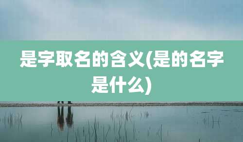 是字取名的含义(是的名字是什么)