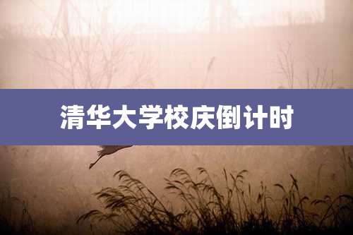 清华大学校庆倒计时