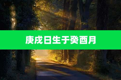 庚戌日生于癸酉月