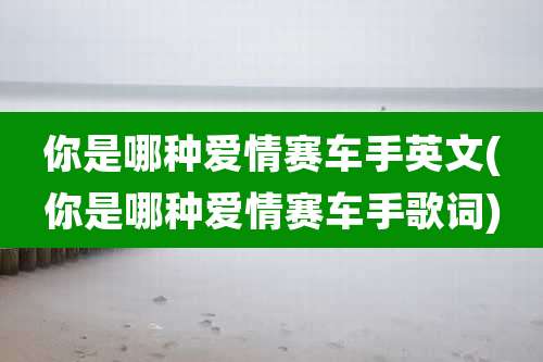 你是哪种爱情赛车手英文(你是哪种爱情赛车手歌词)