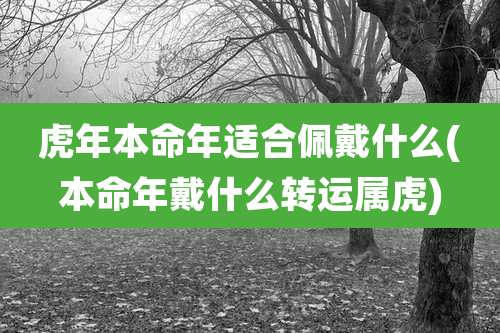 虎年本命年适合佩戴什么(本命年戴什么转运属虎)