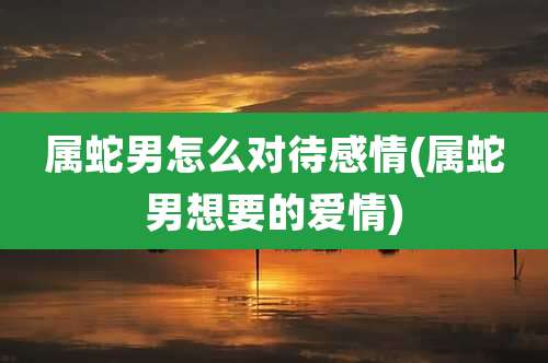 属蛇男怎么对待感情(属蛇男想要的爱情)