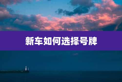 新车如何选择号牌