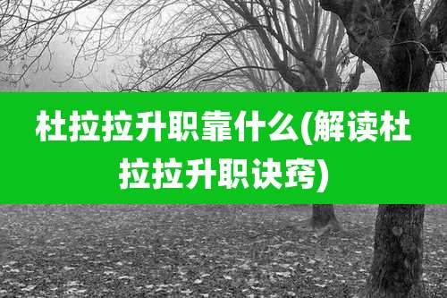 杜拉拉升职靠什么(解读杜拉拉升职诀窍)