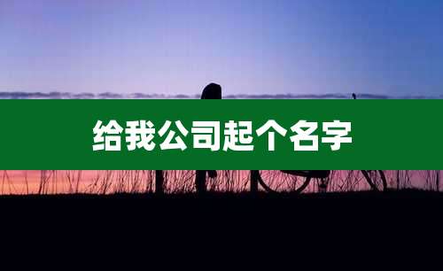 给我公司起个名字