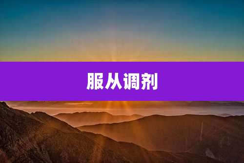 服从调剂