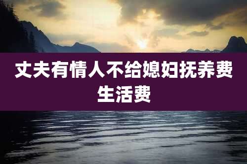 丈夫有情人不给媳妇抚养费生活费