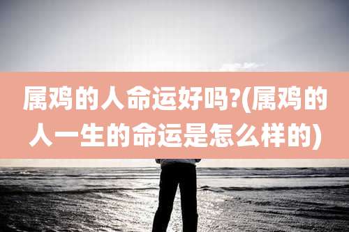 属鸡的人命运好吗?(属鸡的人一生的命运是怎么样的)