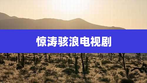 惊涛骇浪电视剧