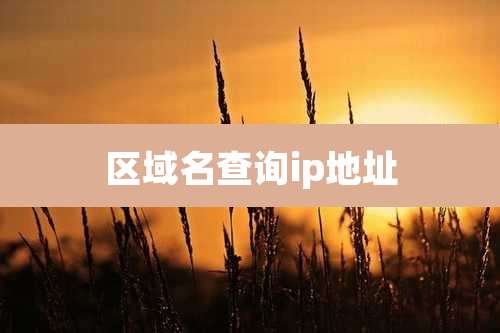 区域名查询ip地址