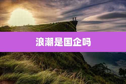 浪潮是国企吗