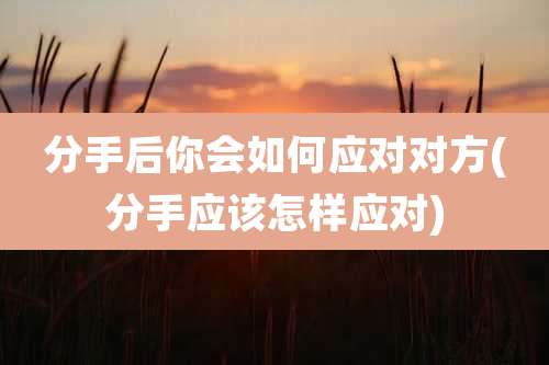 分手后你会如何应对对方(分手应该怎样应对)