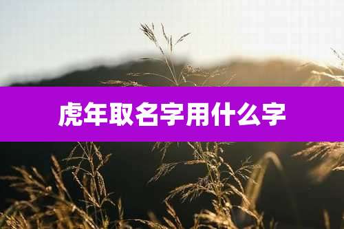 虎年取名字用什么字