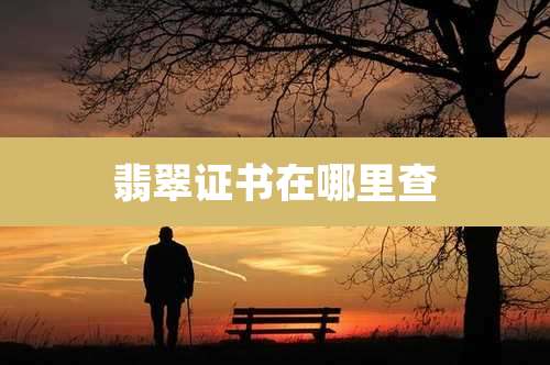 翡翠证书在哪里查