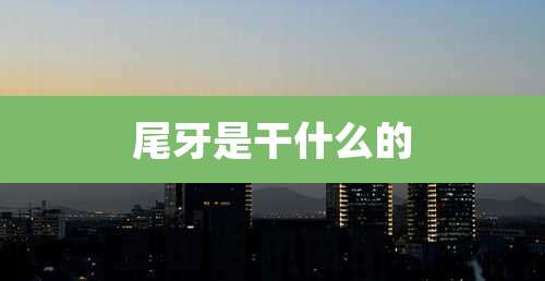 尾牙是干什么的