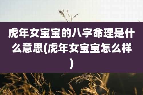 虎年女宝宝的八字命理是什么意思(虎年女宝宝怎么样)