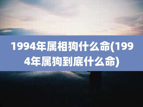 1994年属相狗什么命(1994年属狗到底什么命)