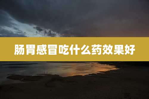 肠胃感冒吃什么药效果好