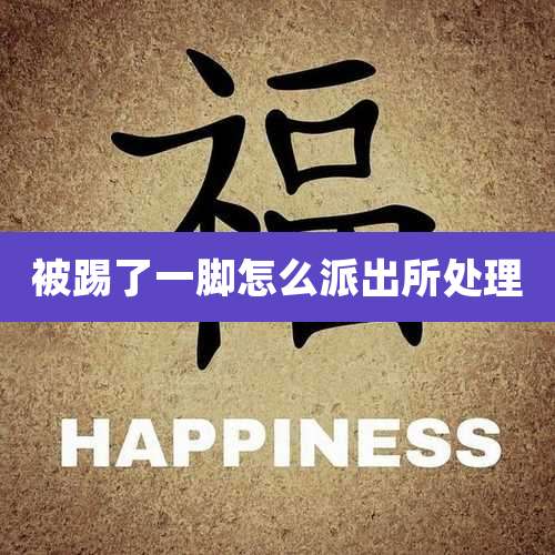 被踢了一脚怎么派出所处理