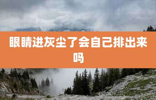 眼睛进灰尘了会自己排出来吗