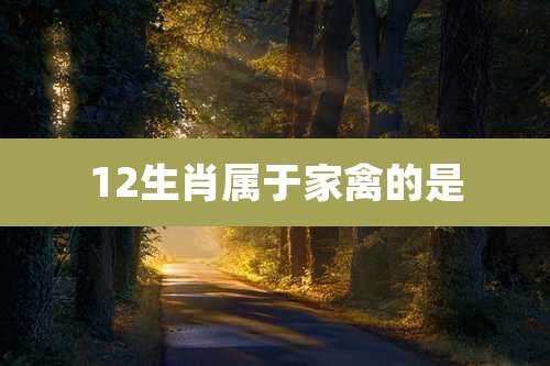 12生肖属于家禽的是