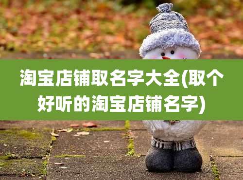 淘宝店铺取名字大全(取个好听的淘宝店铺名字)