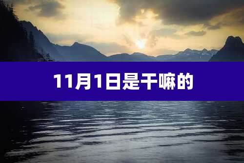11月1日是干嘛的