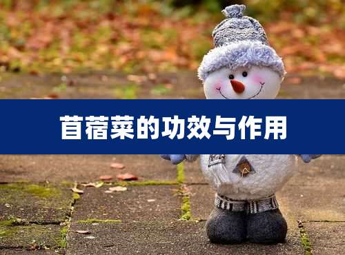 苜蓿菜的功效与作用