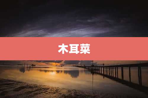 木耳菜