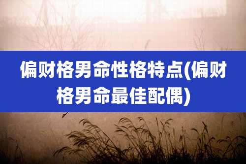 偏财格男命性格特点(偏财格男命最佳配偶)