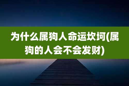 为什么属狗人命运坎坷(属狗的人会不会发财)