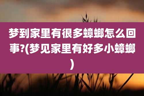 梦到家里有很多蟑螂怎么回事?(梦见家里有好多小蟑螂)
