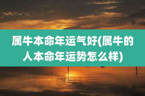 属牛本命年运气好(属牛的人本命年运势怎么样)