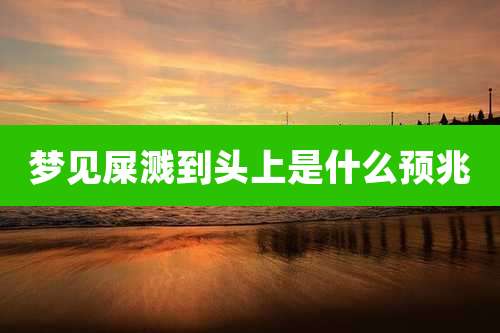 梦见屎溅到头上是什么预兆
