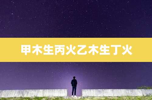 甲木生丙火乙木生丁火