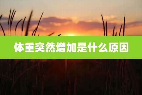 体重突然增加是什么原因