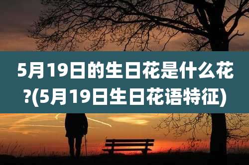 5月19日的生日花是什么花?(5月19日生日花语特征)