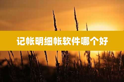 记帐明细帐软件哪个好