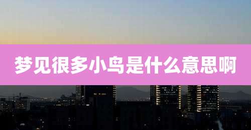 梦见很多小鸟是什么意思啊