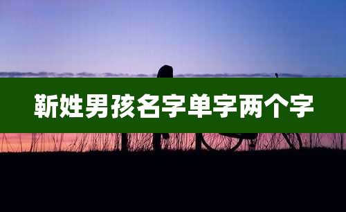 靳姓男孩名字单字两个字