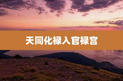 天同化禄入官禄宫